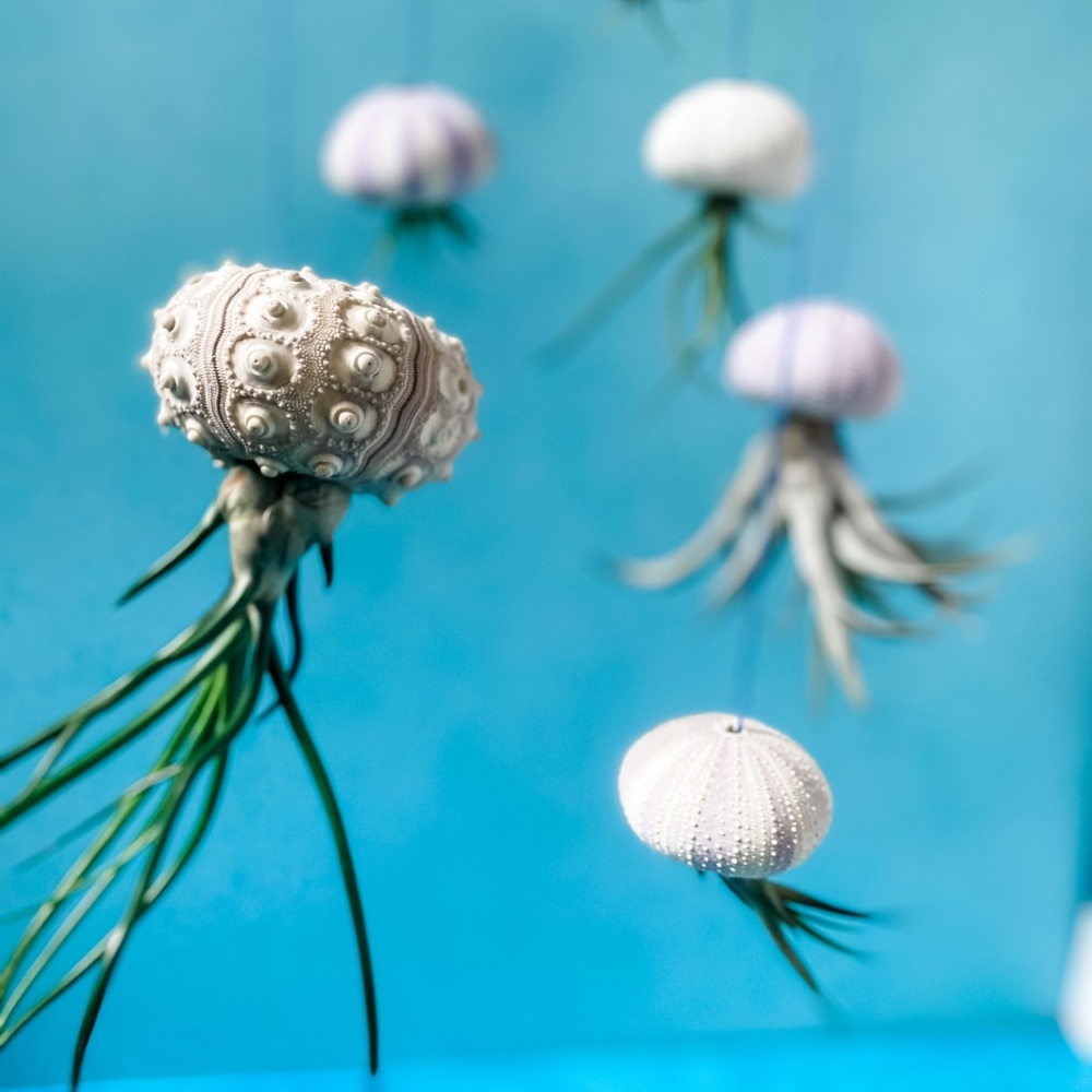 Whimsical Mobile (Handmade Jellyfish Air Plant Decor)